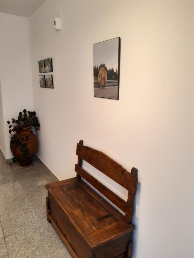 Casa Araci Hotell Vieira do Minho Eksteriør bilde